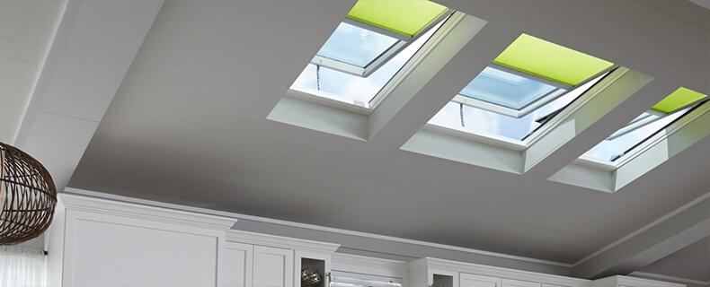 Skylight Repair