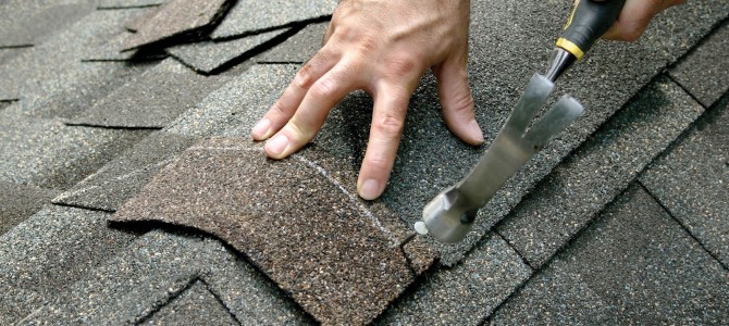 shingle Roof Repair
