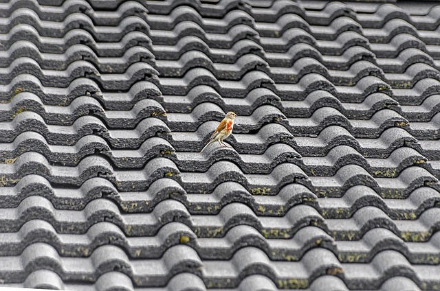 AI-powered roof inspections