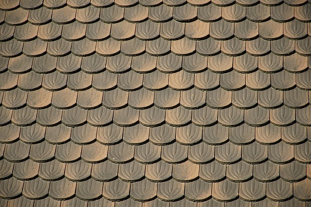 Future of Toronto Roof Repairs