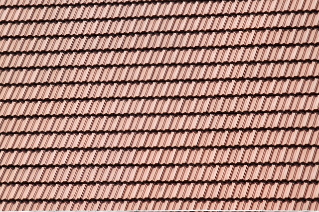 ai and toronto roof repairs