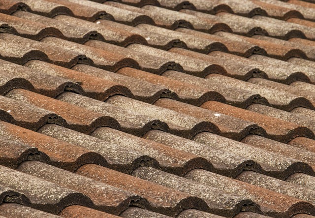 ai and toronto roof repairs