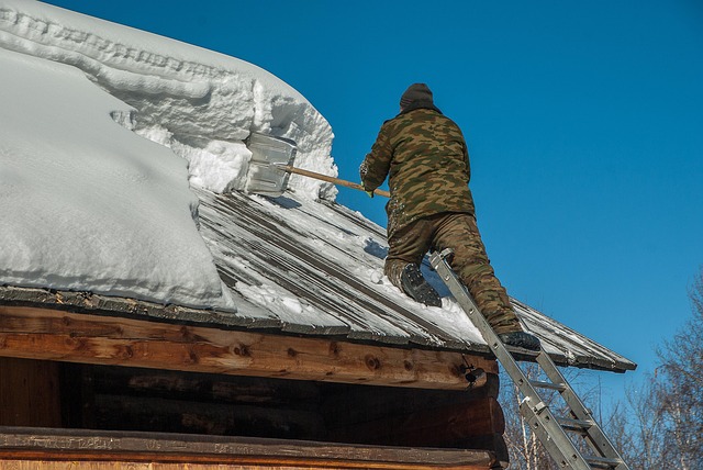 protect roof from ice and snow