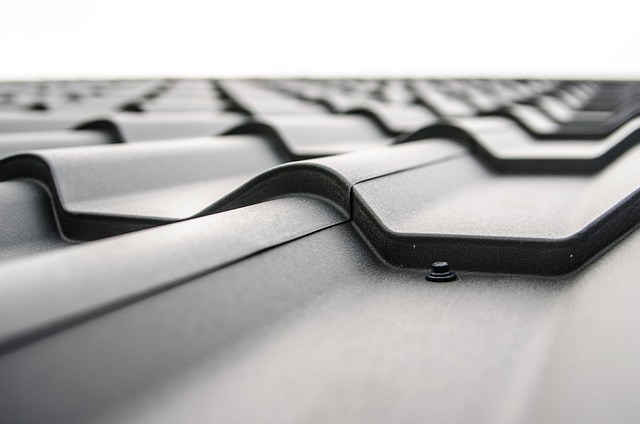 protect roof from ice and snow