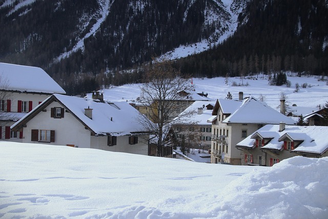 protect roof from ice and snow
