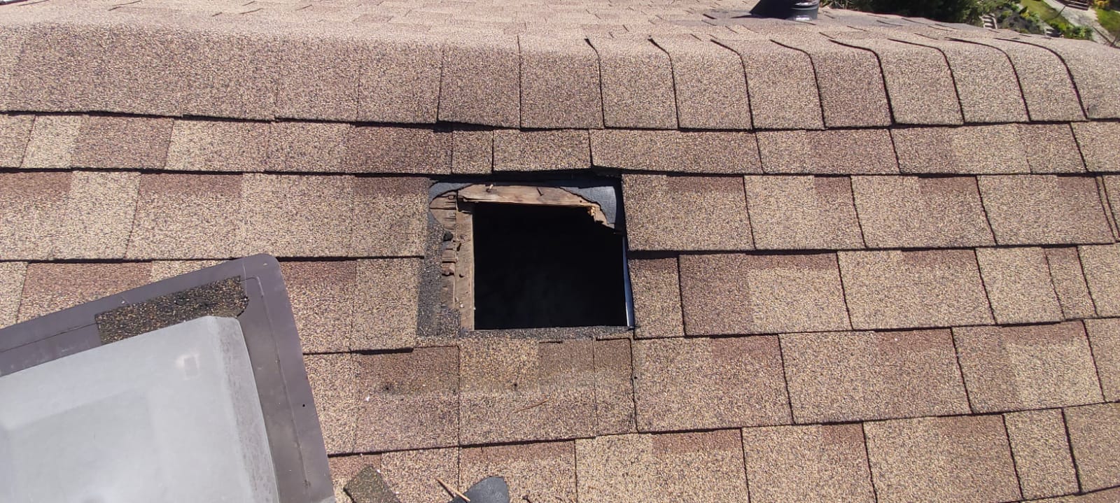 replace Damaged Shingles